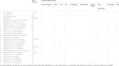 Cases of tetrasomy 9p and trisomy 9p in prenatal diagnosis—Analysis of noninvasive and invasive test results